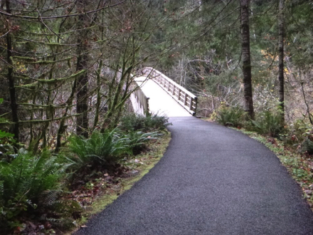 Paved surface transitions to wooden bridge with railing – may be a lip at transition – view of Salmon River